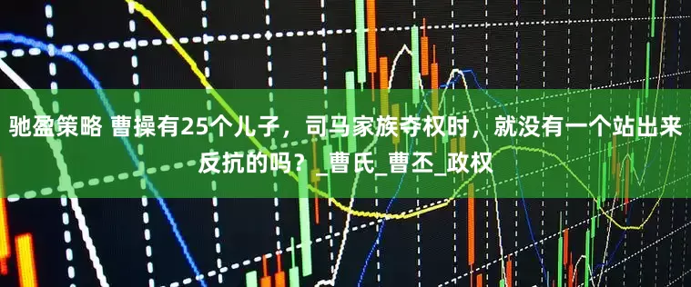 驰盈策略 曹操有25个儿子，司马家族夺权时，就没有一个站出来反抗的吗？_曹氏_曹丕_政权