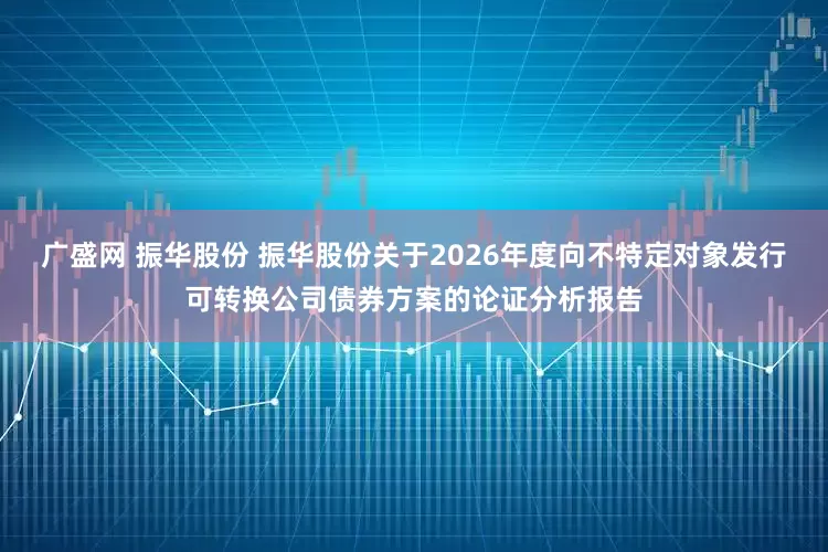 广盛网 振华股份 振华股份关于2026年度向不特定对象发行可转换公司债券方案的论证分析报告