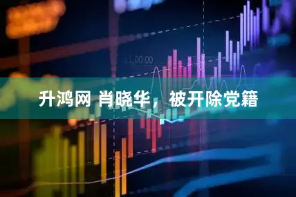 升鸿网 肖晓华，被开除党籍